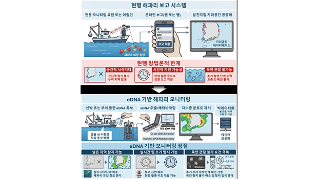 인천대 해양학과 연구팀, 환경DNA(eDNA) 내 해파리 분석 정확도 높이는 기술 개발 대표이미지